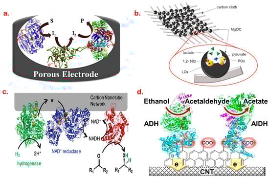 Biosensors 13 01018 g001