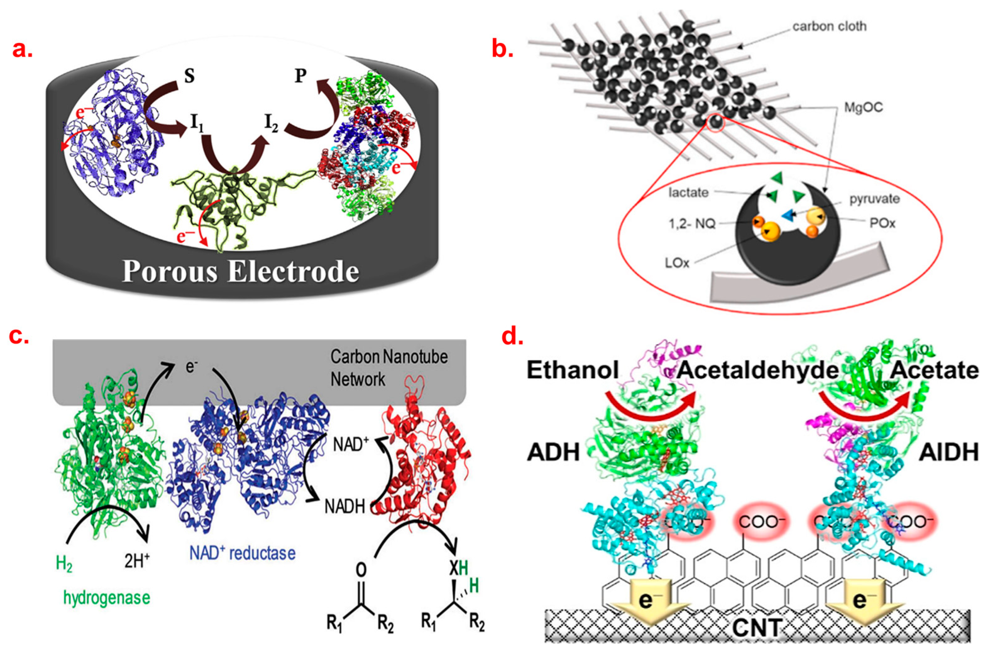 Biosensors 13 01018 g001