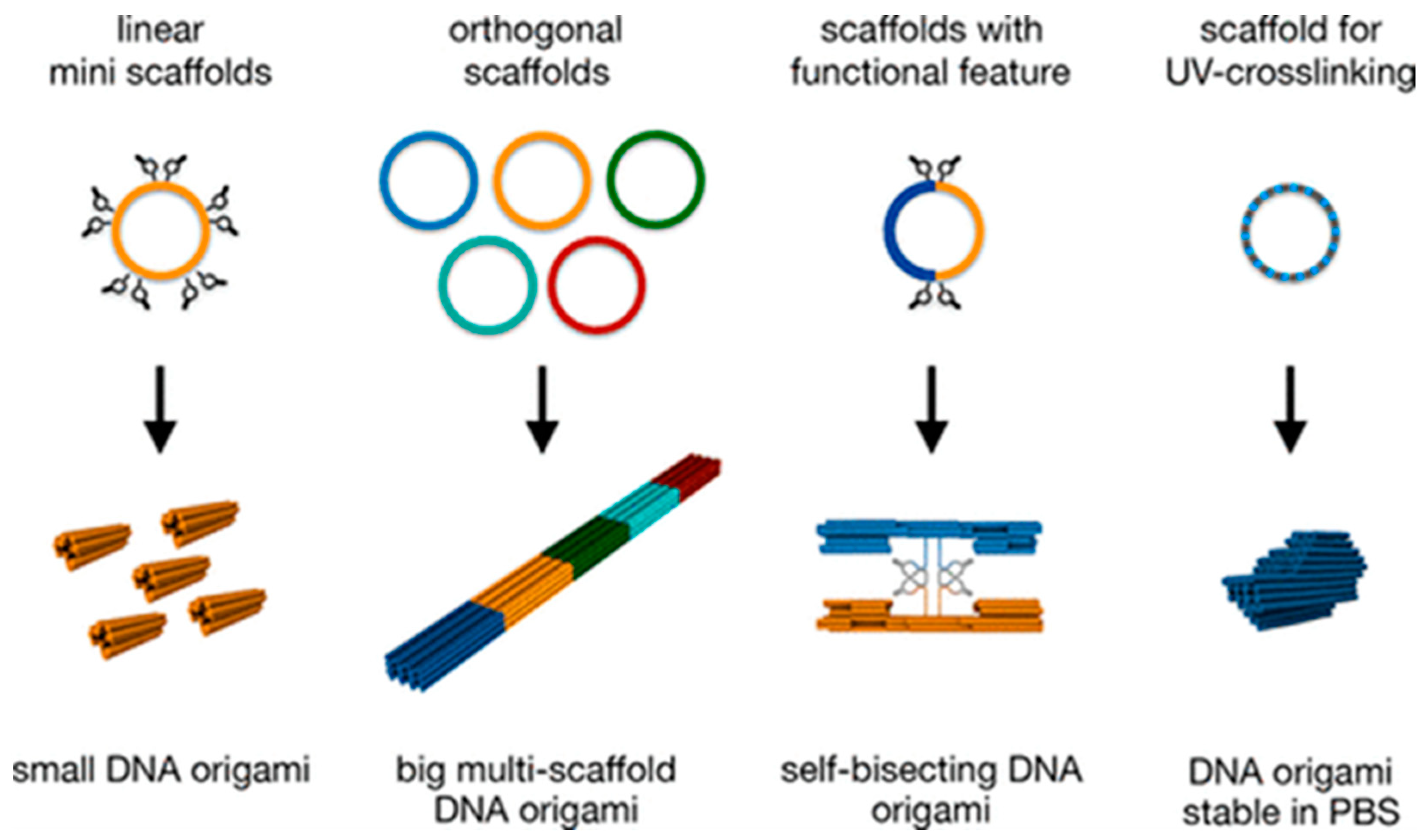Biosensors 13 01018 g003