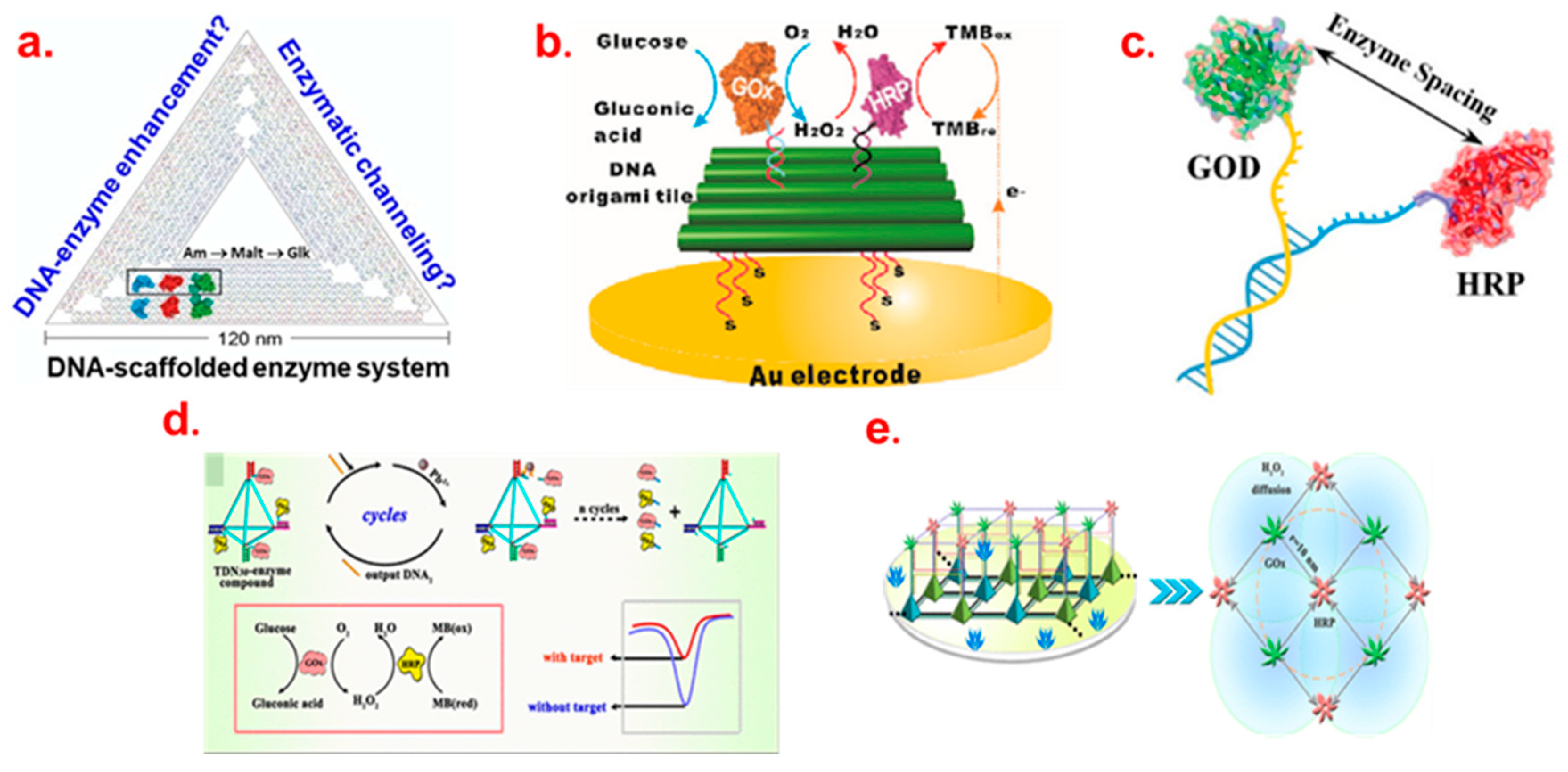 Biosensors 13 01018 g004