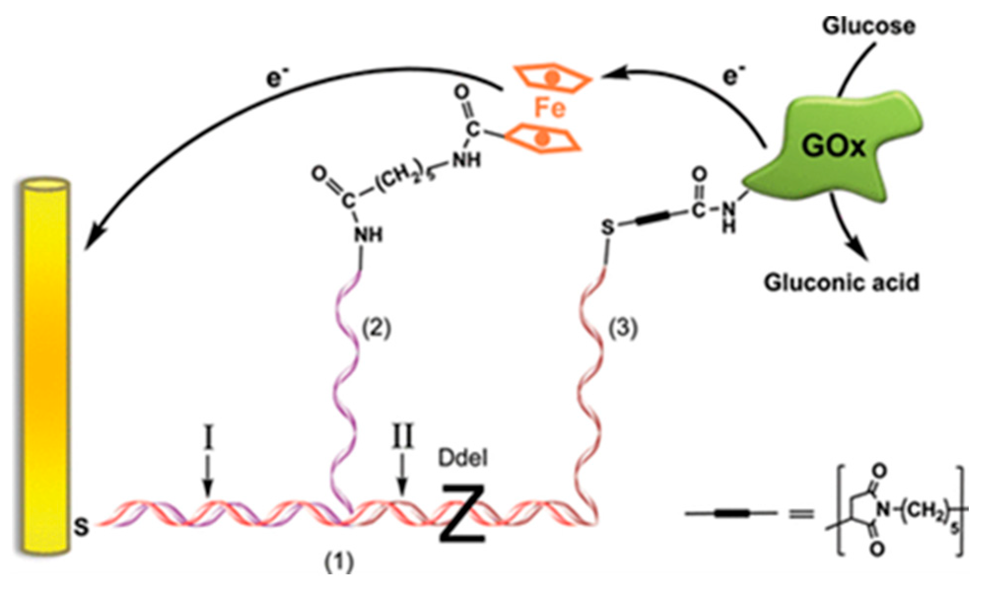 Biosensors 13 01018 g005
