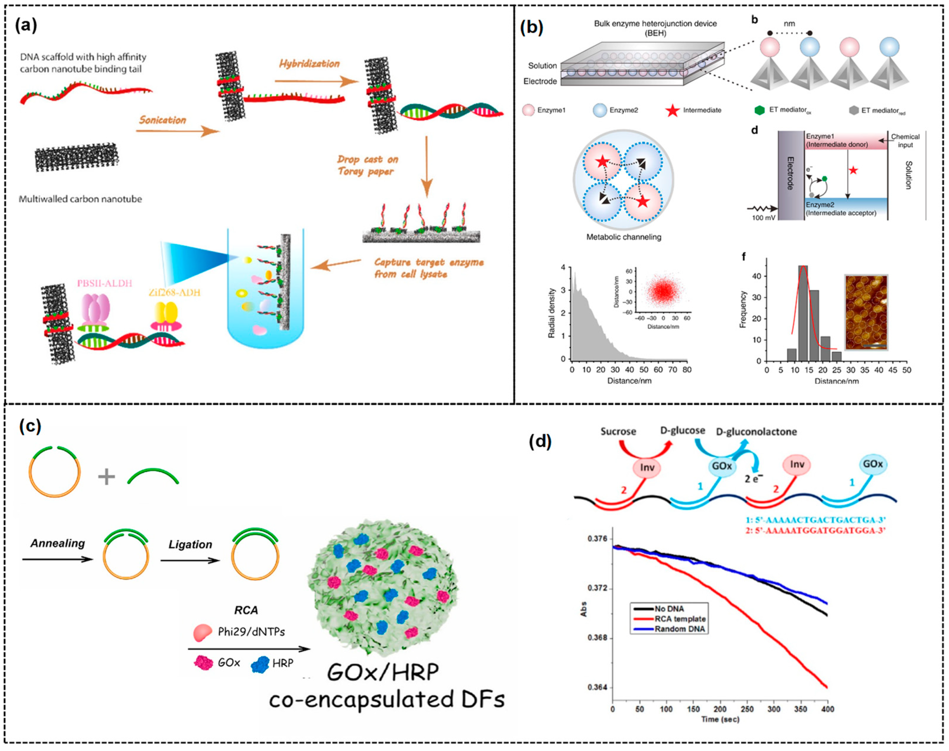 Biosensors 13 01018 g006