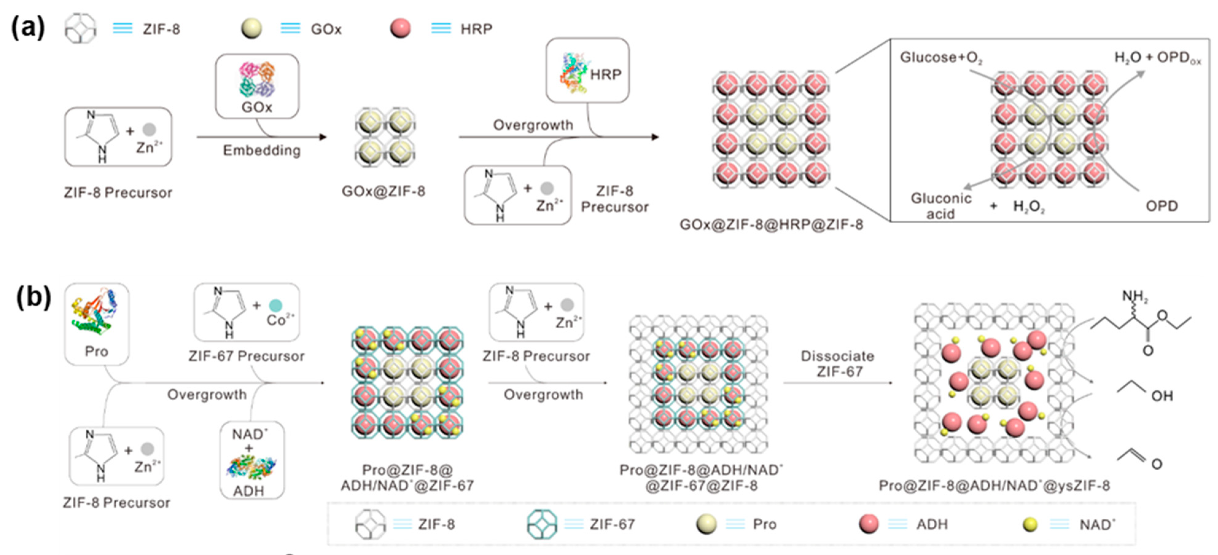 Biosensors 13 01018 g008