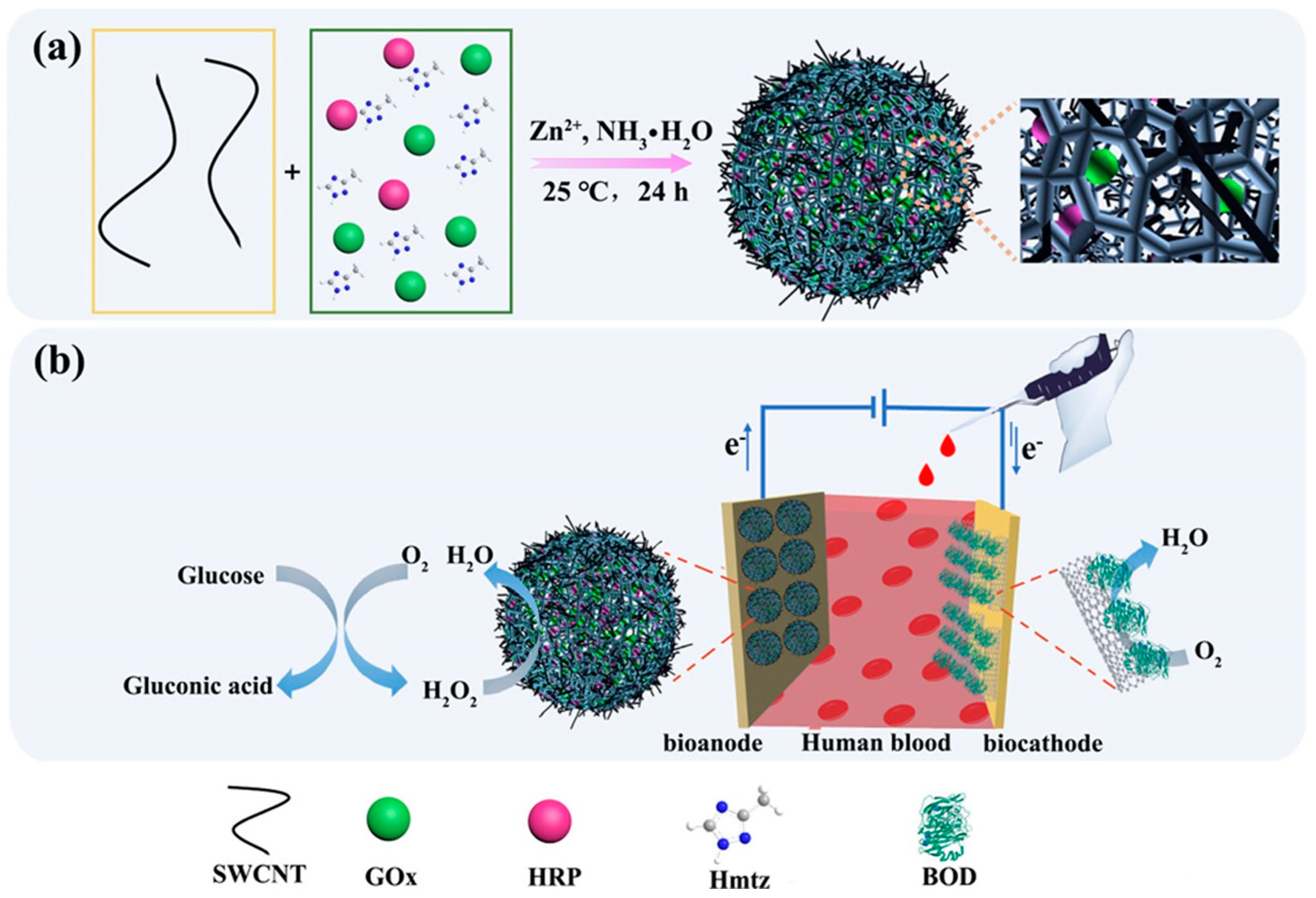 Biosensors 13 01018 g009