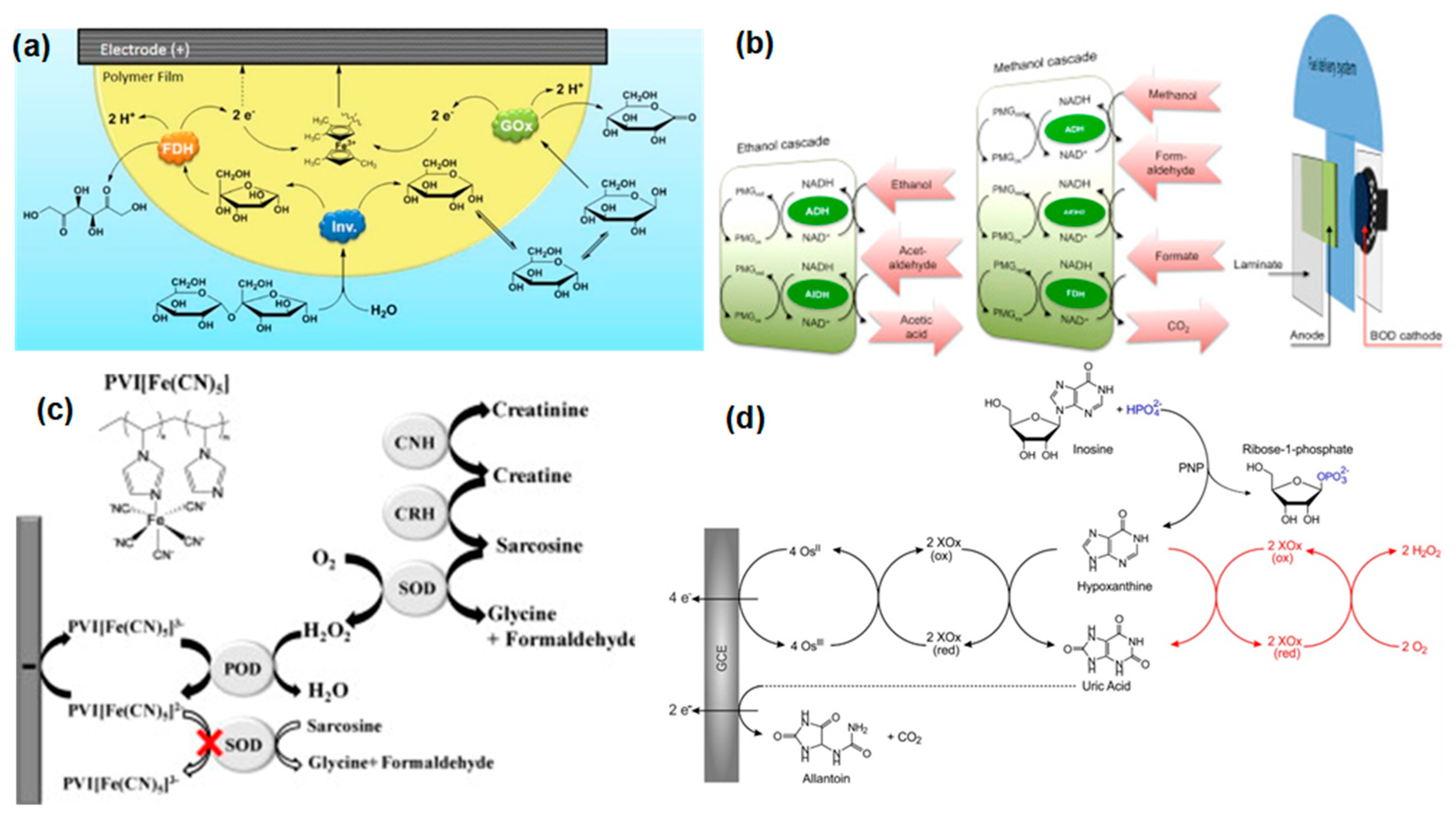 Biosensors 13 01018 g010
