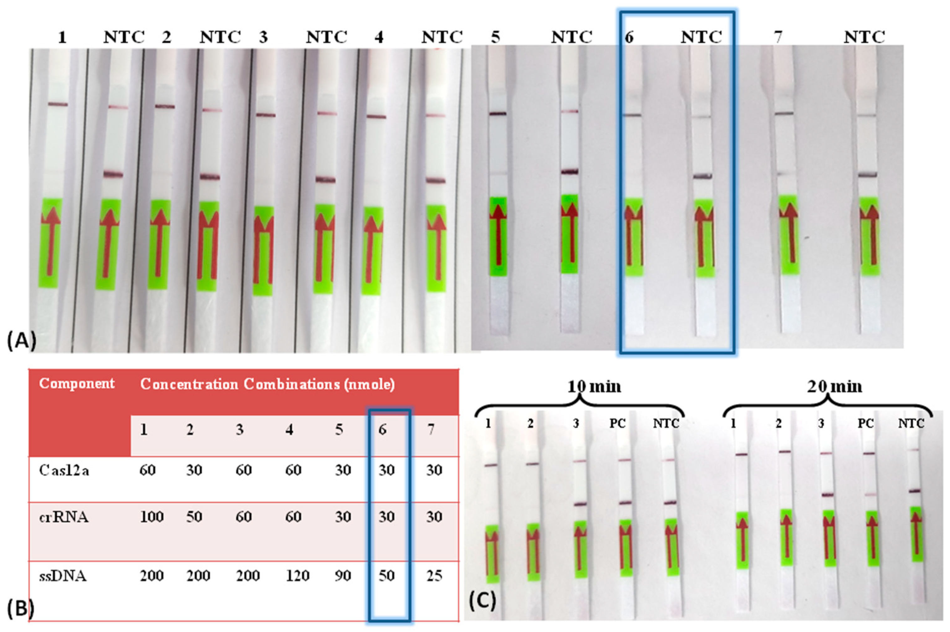 Biosensors 13 01021 g002