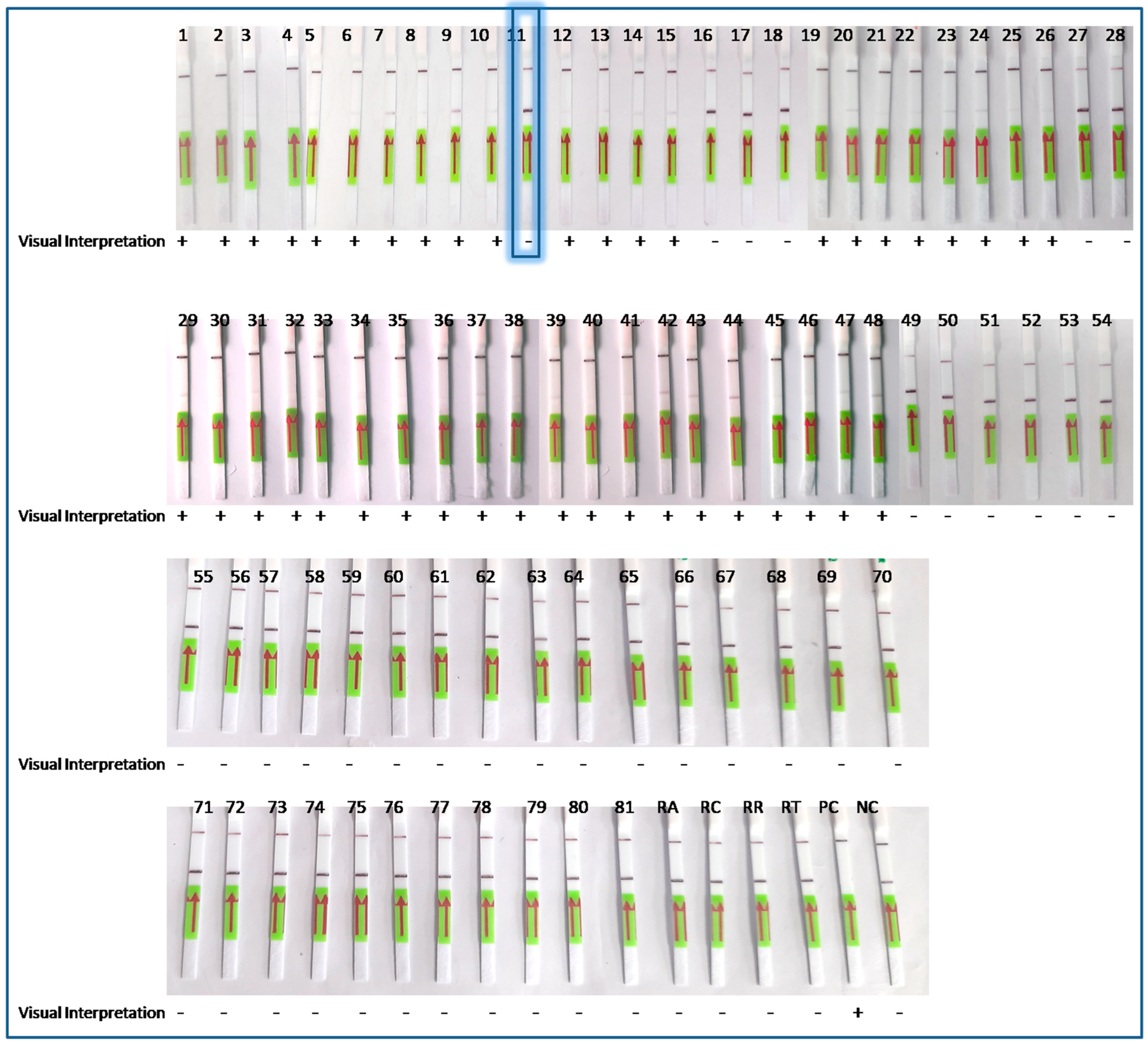 Biosensors 13 01021 g004