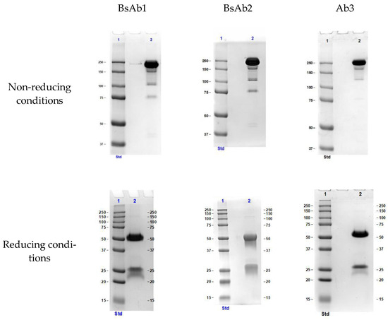 Biosensors 13 01022 g0a2