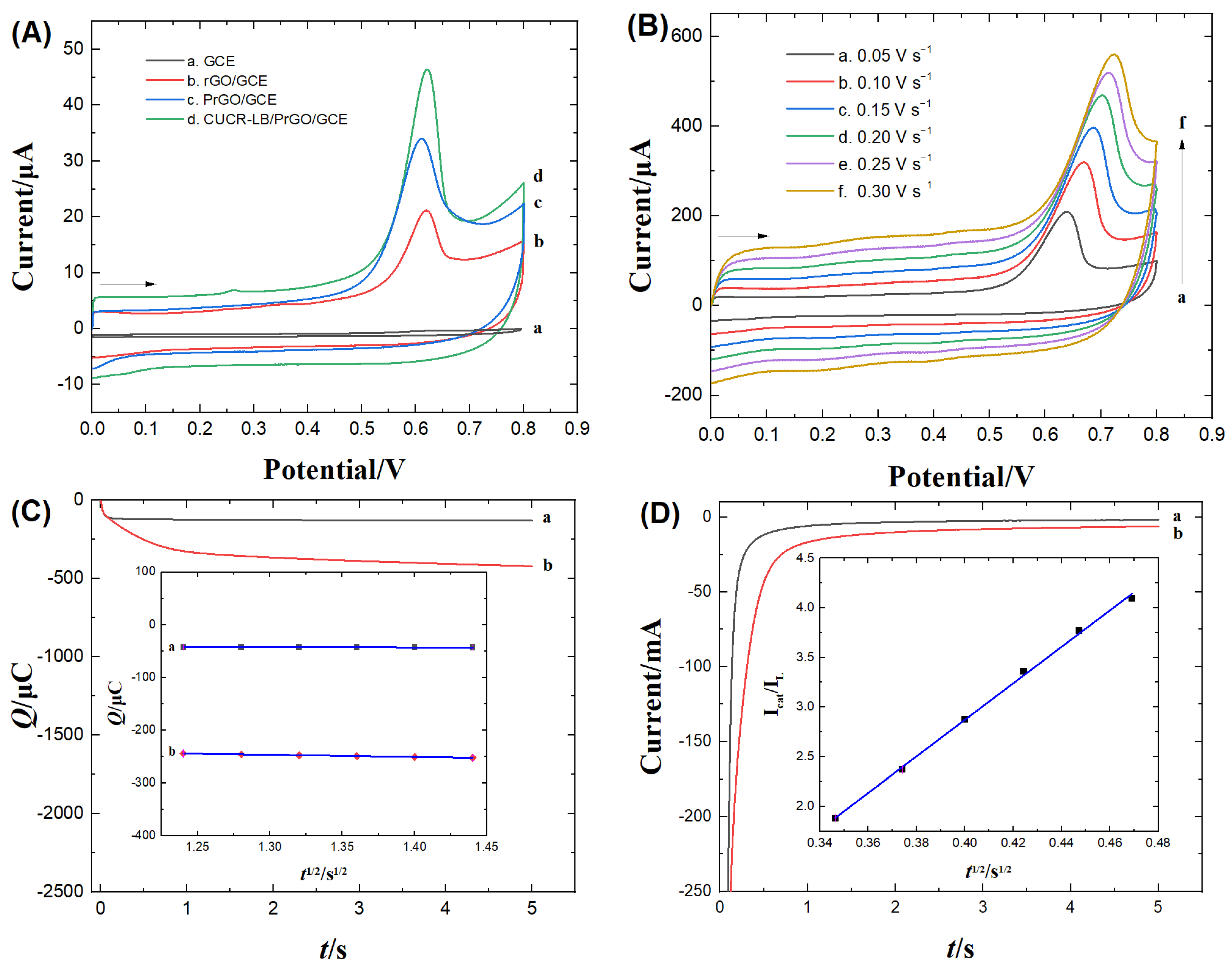 Biosensors 13 01024 g003