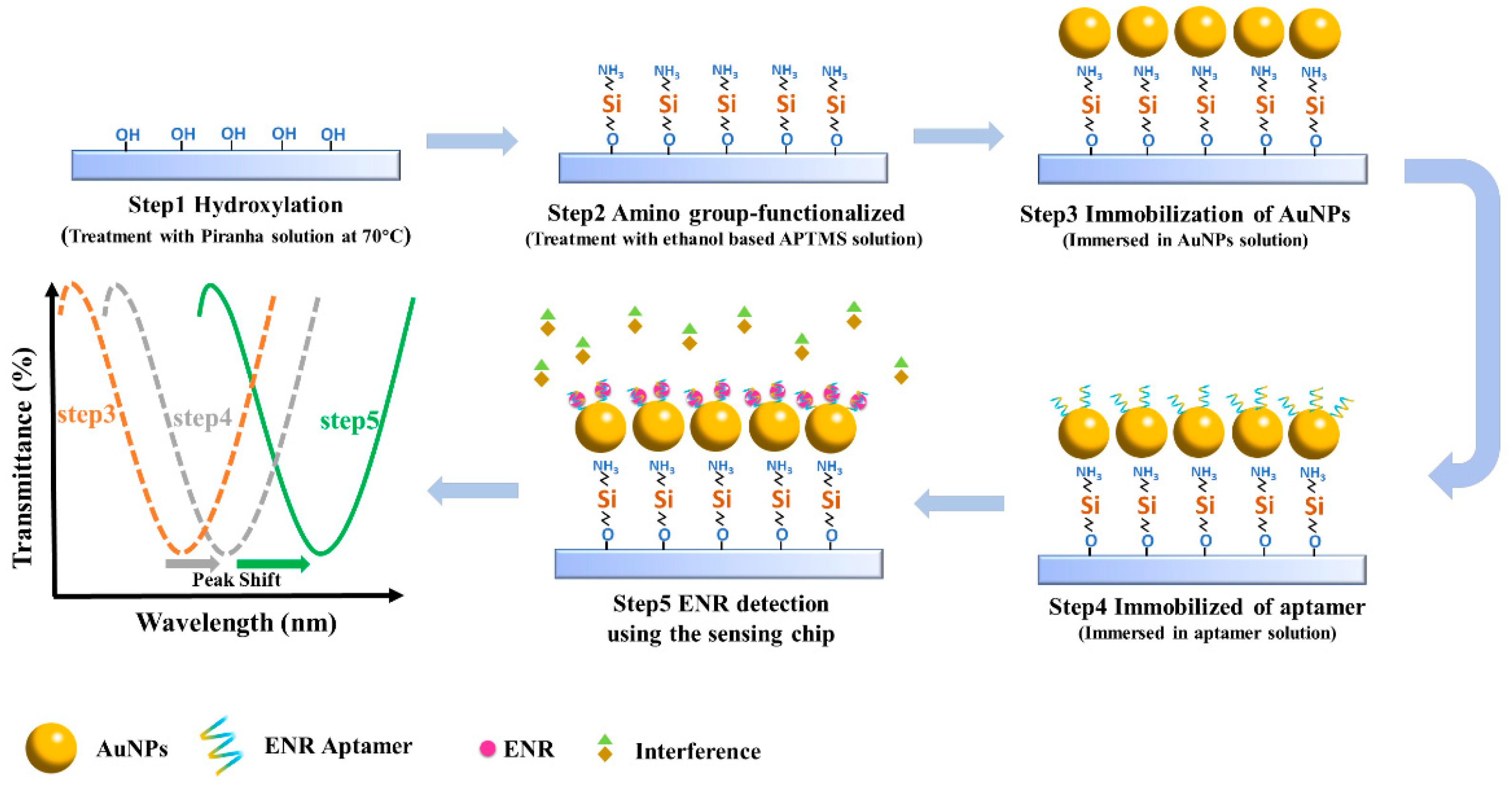 Biosensors 13 01027 g001