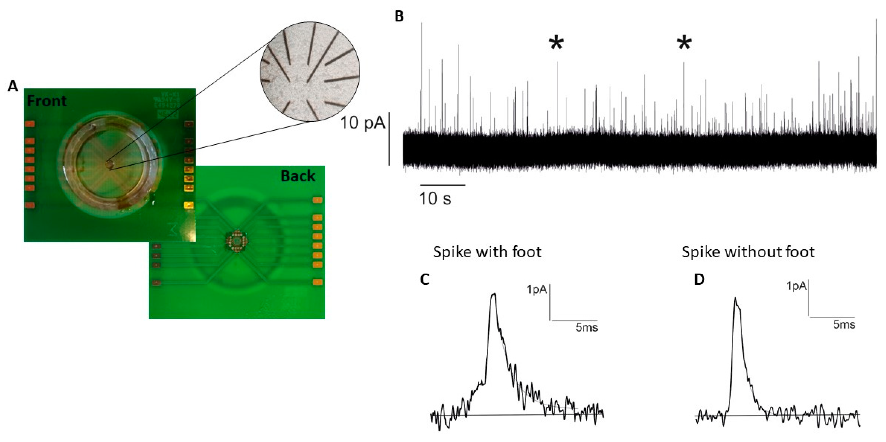 Biosensors 13 01033 g004 Biosensors 13 01033 g004