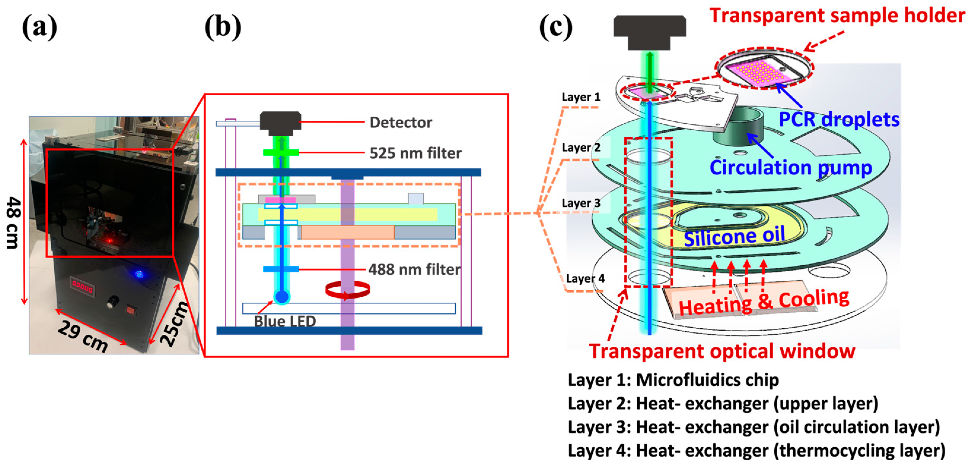 Biosensors 14 00002 g002