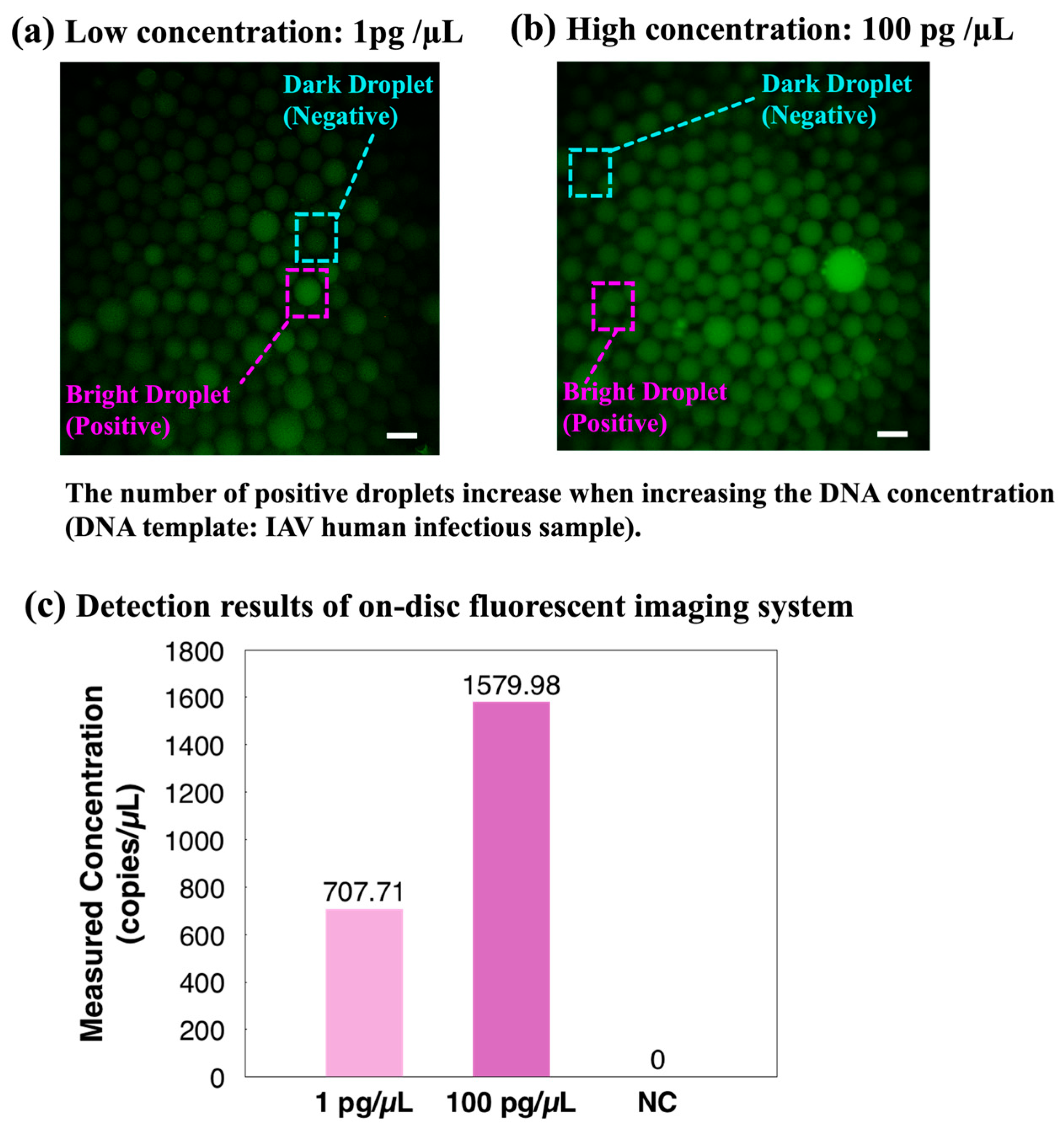 Biosensors 14 00002 g007