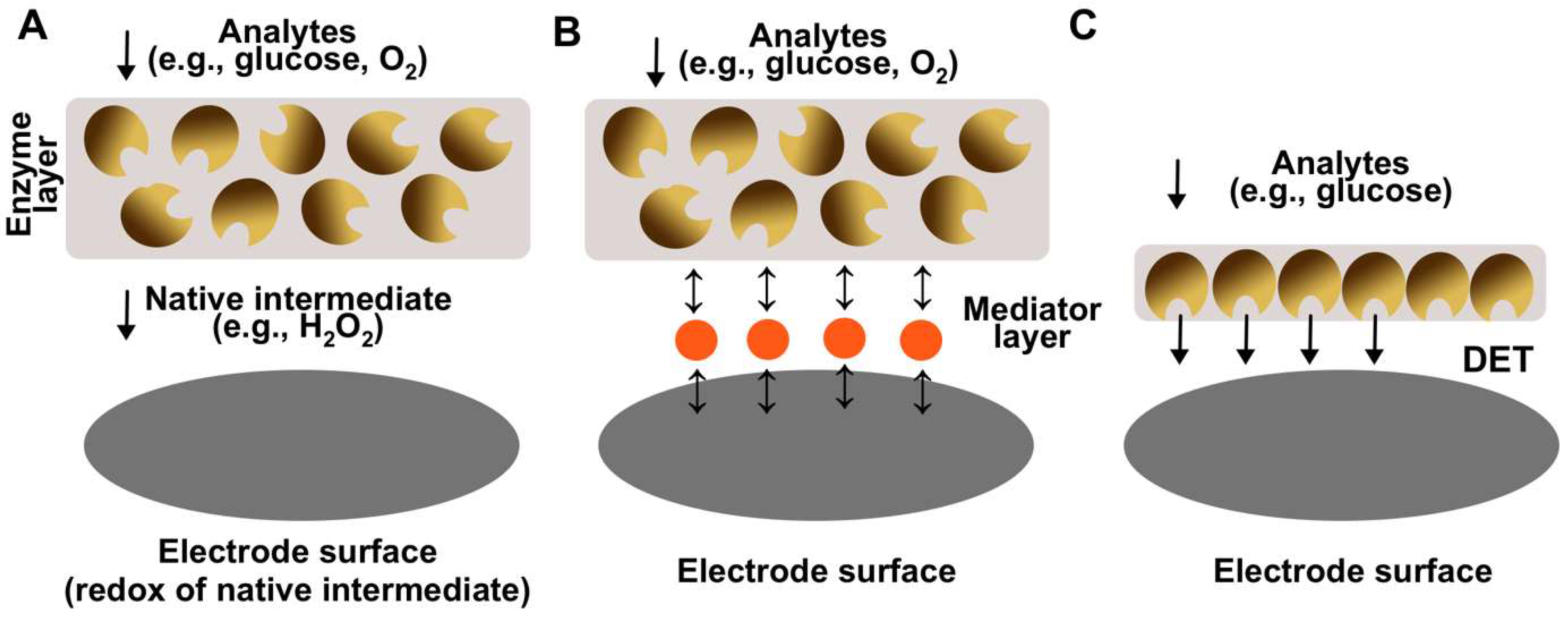 Biosensors 14 00005 g002