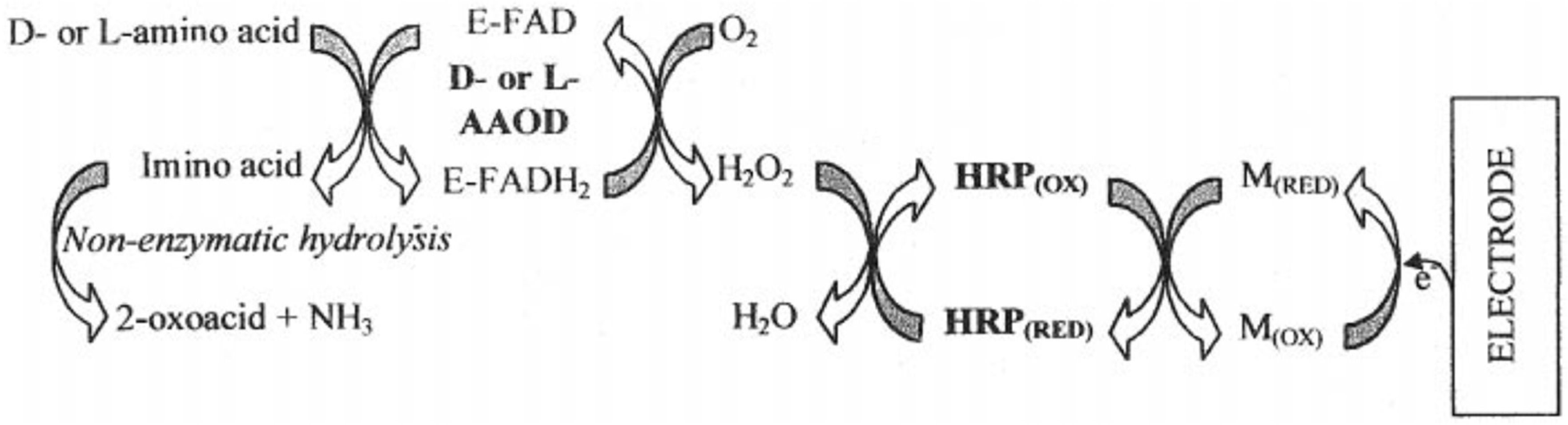 Biosensors 14 00005 g003