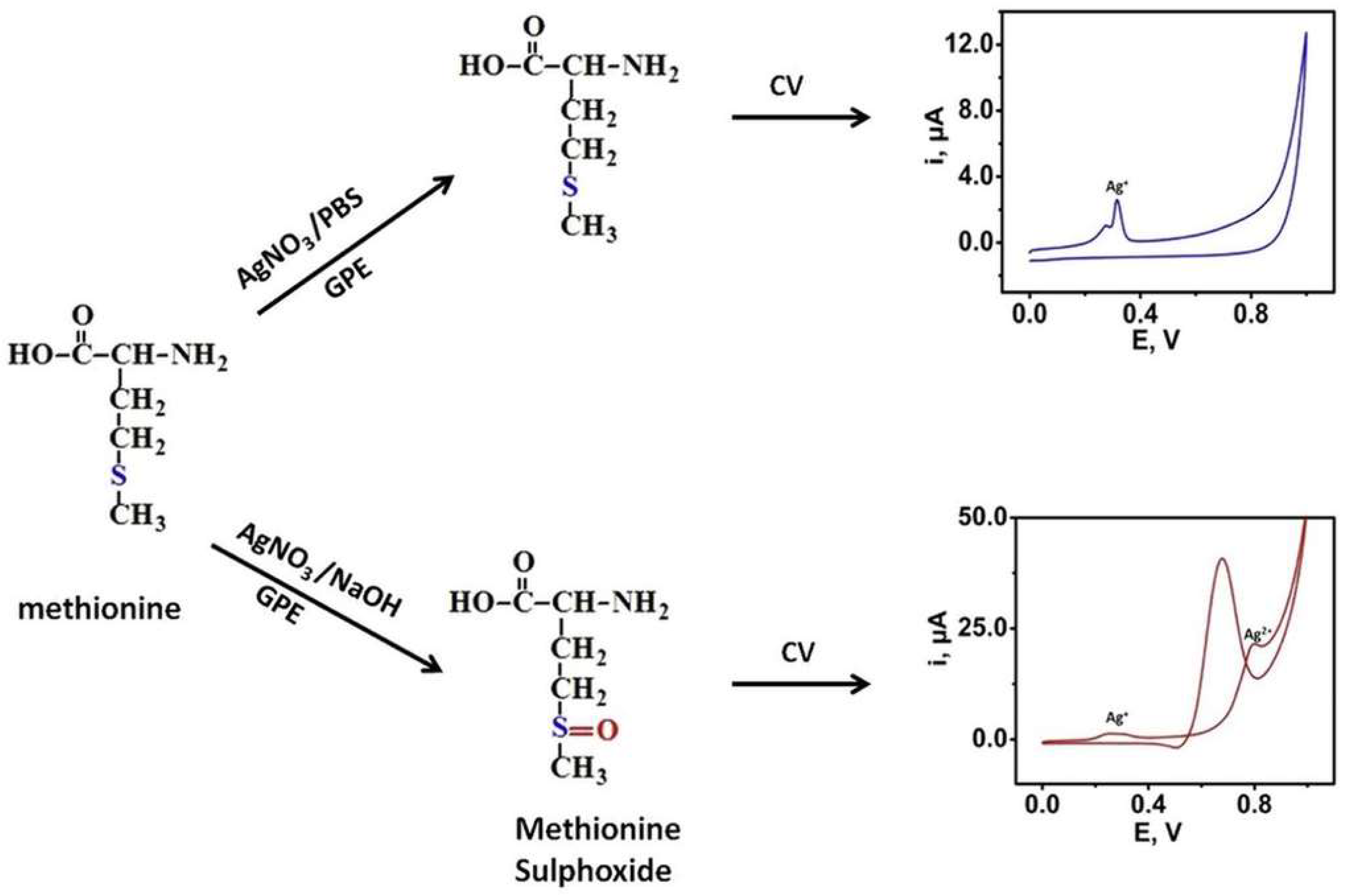 Biosensors 14 00005 g004