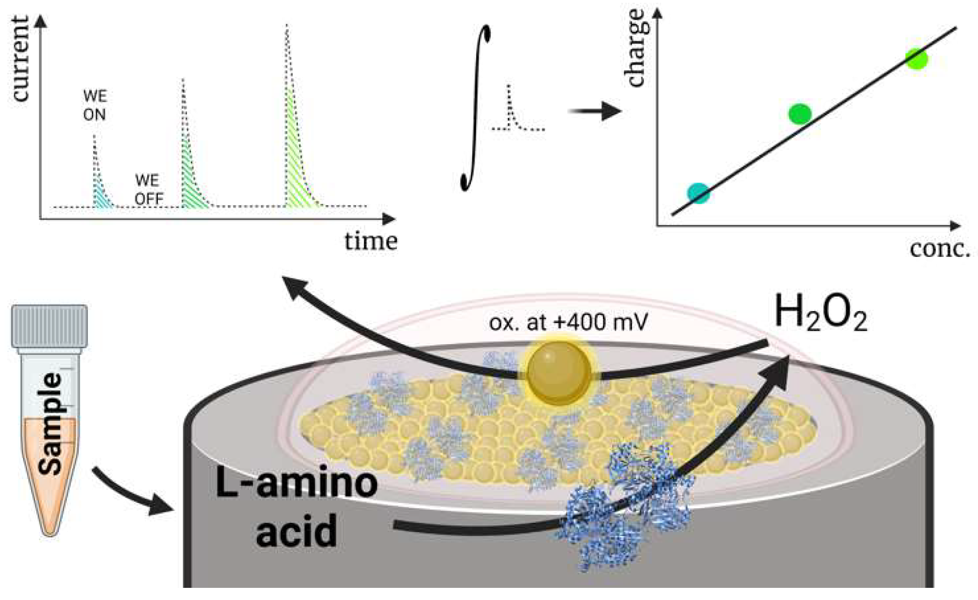 Biosensors 14 00005 g006