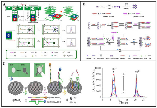 Biosensors 14 00009 g011