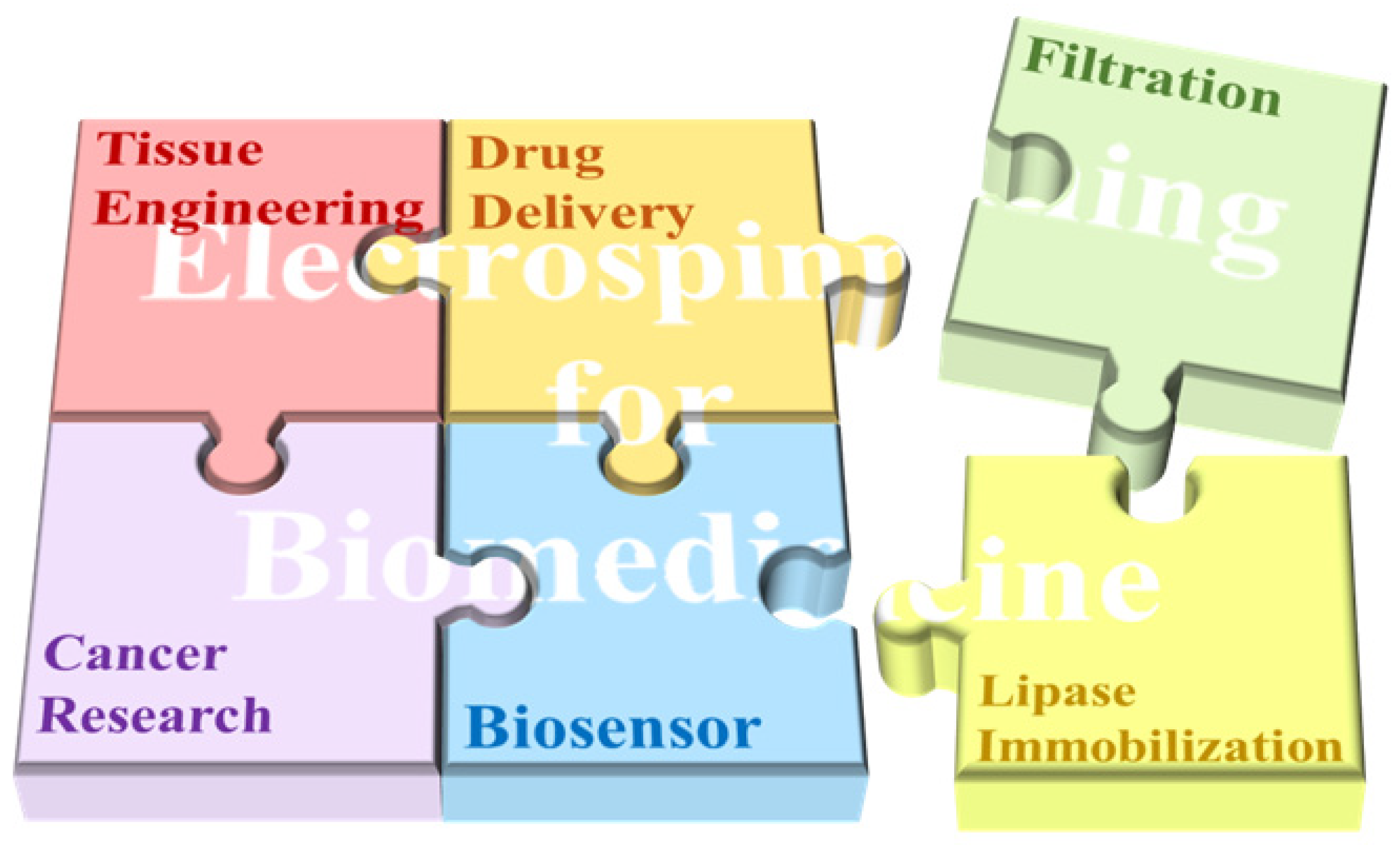 Biosensors 14 00013 g001