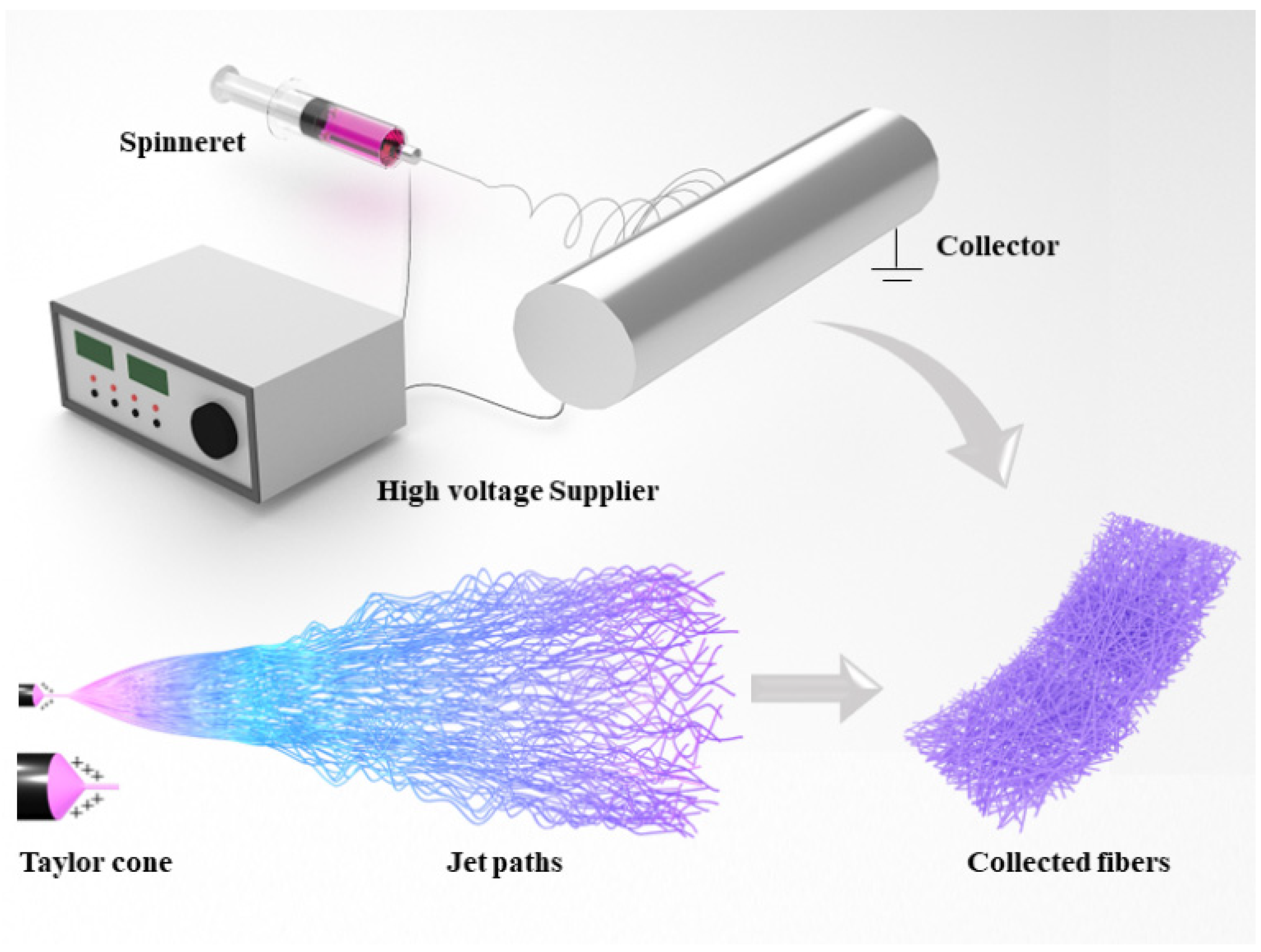 Biosensors 14 00013 g002