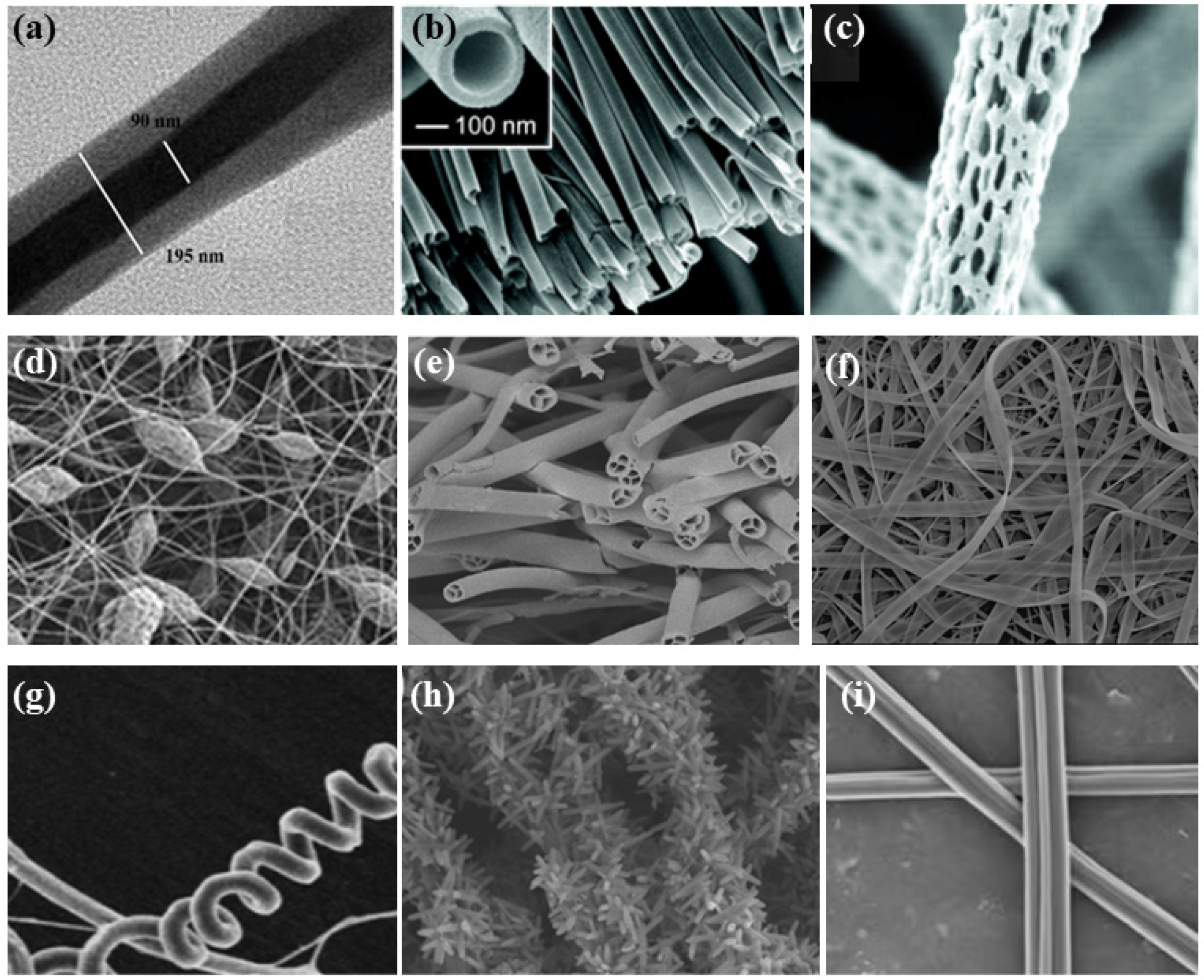 Biosensors 14 00013 g004