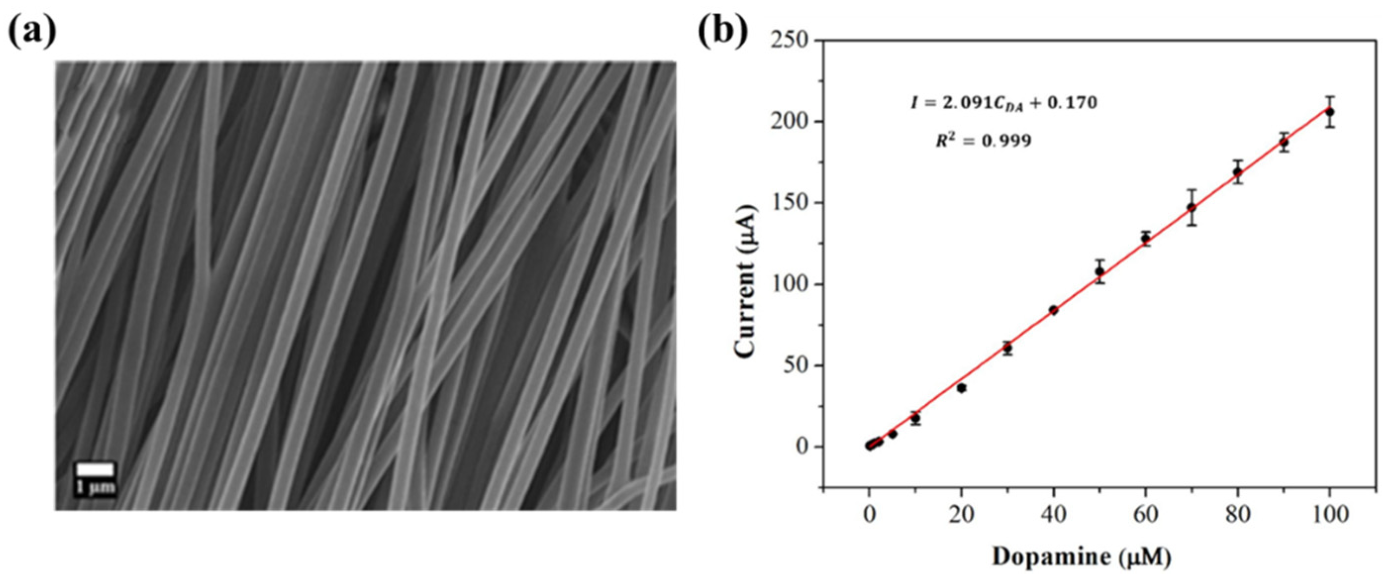 Biosensors 14 00013 g005