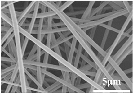 Biosensors 14 00013 i002