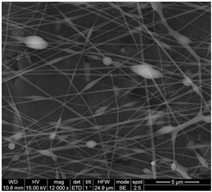 Biosensors 14 00013 i003