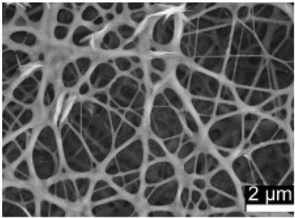 Biosensors 14 00013 i004