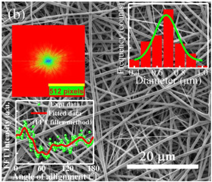 Biosensors 14 00013 i005