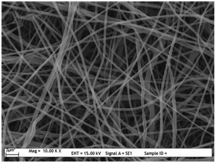 Biosensors 14 00013 i006