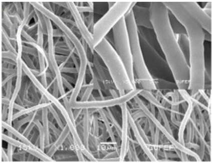 Biosensors 14 00013 i007