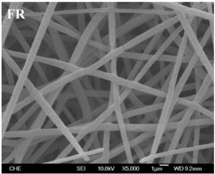 Biosensors 14 00013 i008