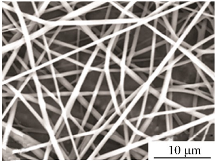 Biosensors 14 00013 i009