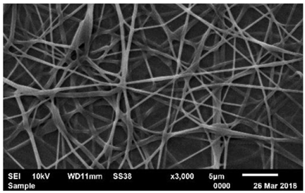 Biosensors 14 00013 i010