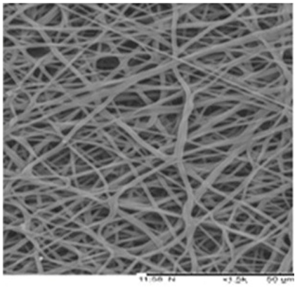 Biosensors 14 00013 i011