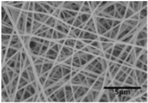 Biosensors 14 00013 i012