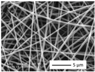 Biosensors 14 00013 i013