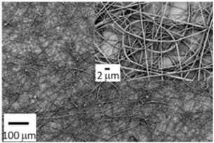 Biosensors 14 00013 i014