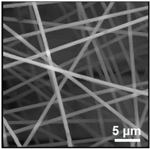 Biosensors 14 00013 i016