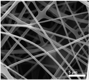Biosensors 14 00013 i017