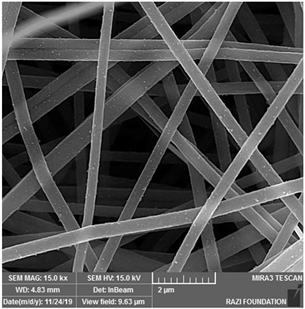 Biosensors 14 00013 i018
