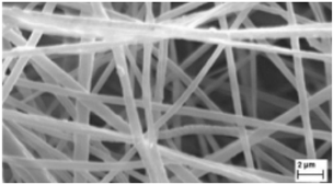 Biosensors 14 00013 i019