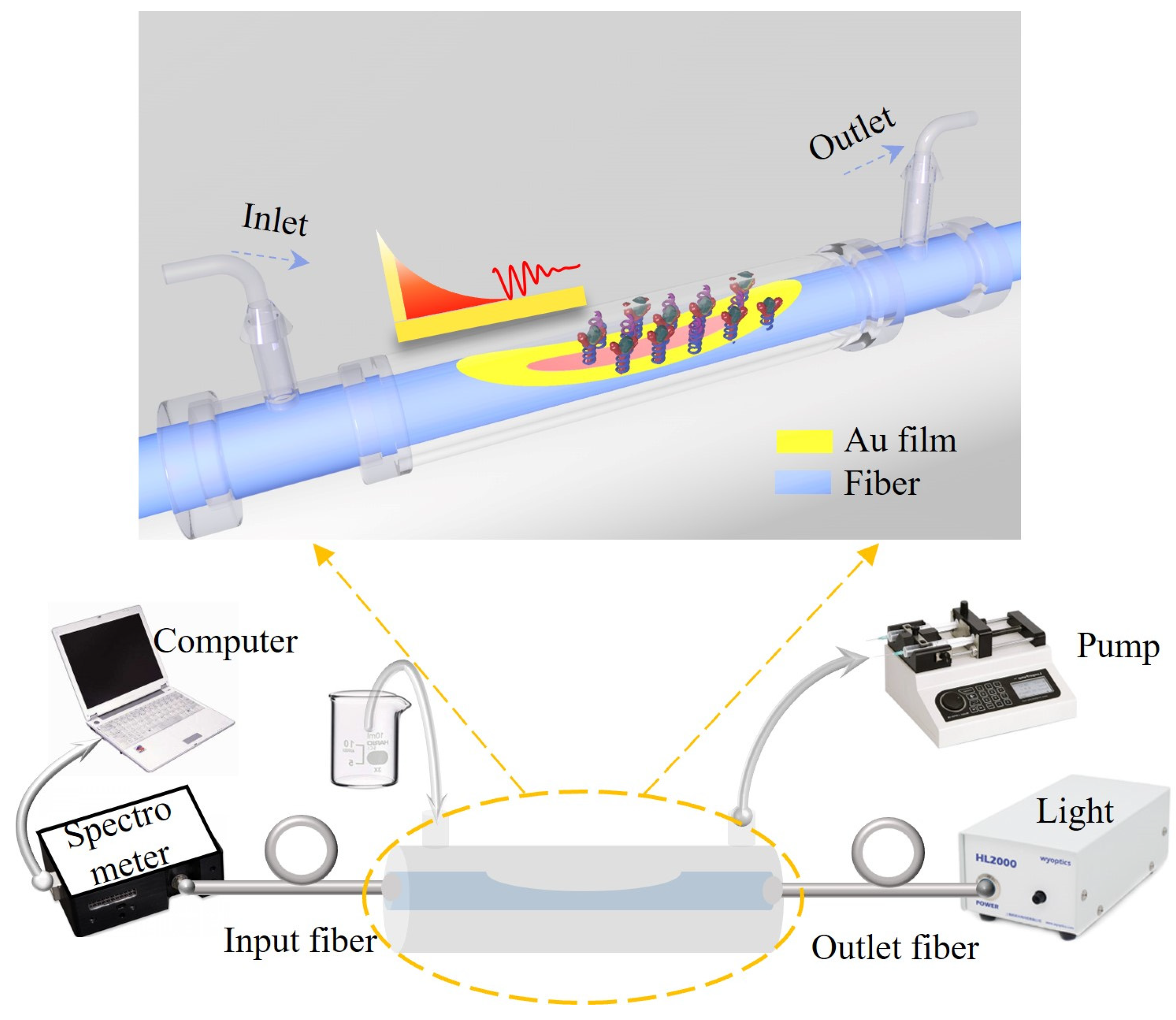 Biosensors 14 00015 g001