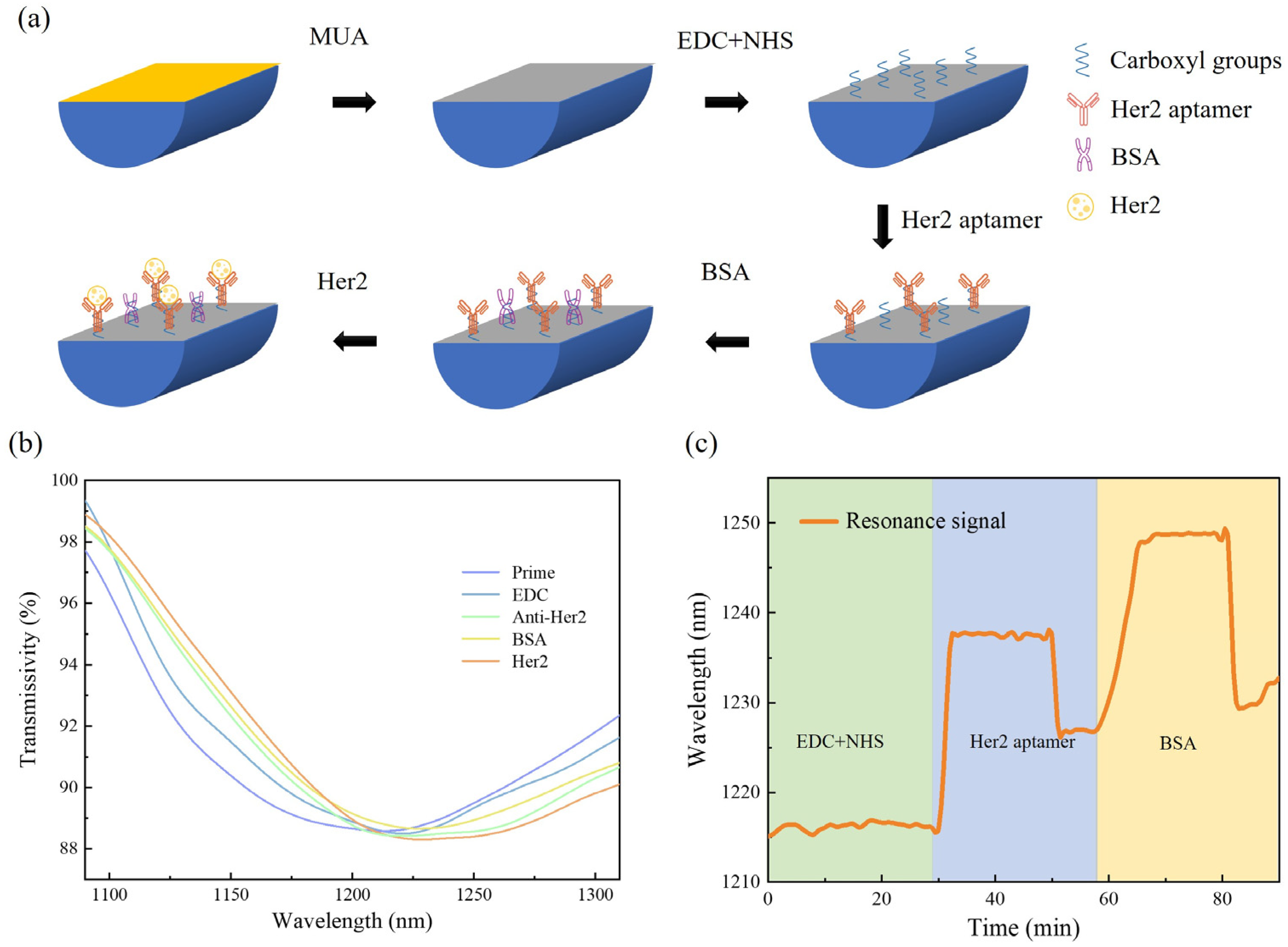 Biosensors 14 00015 g004
