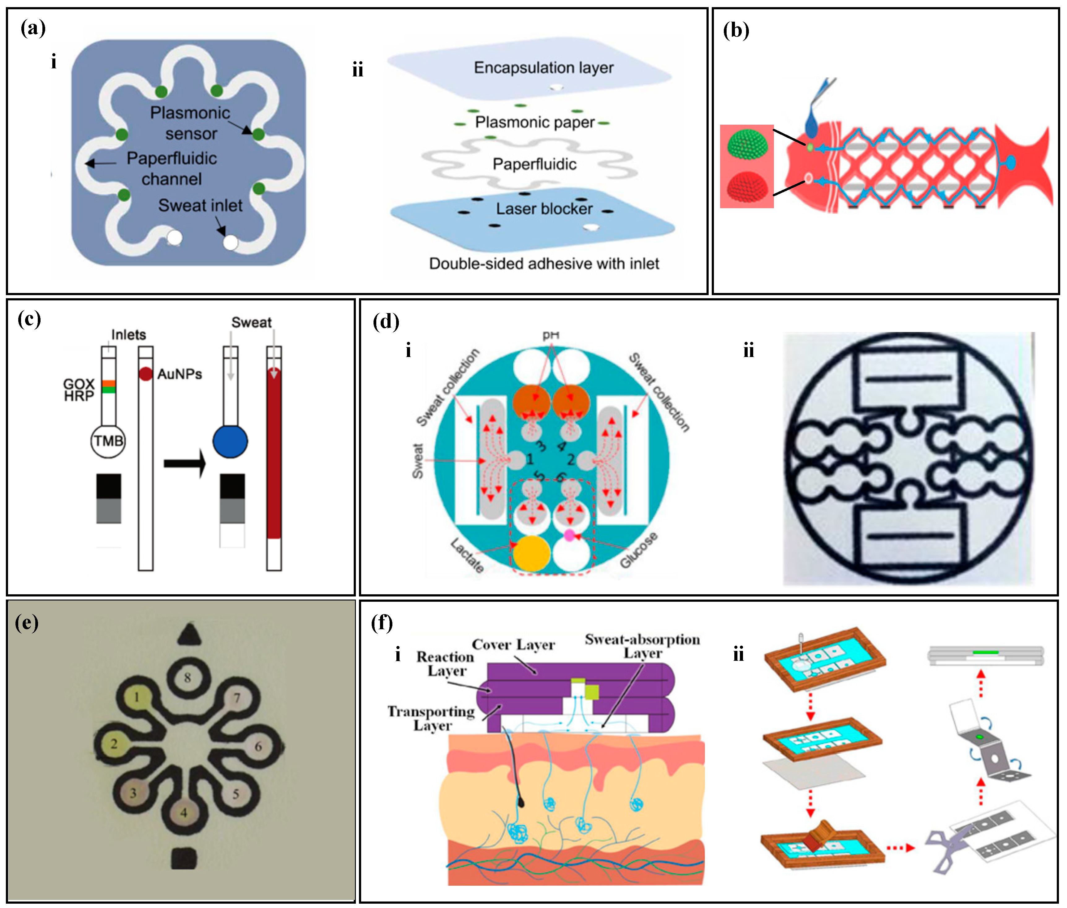 Biosensors 14 00017 g002