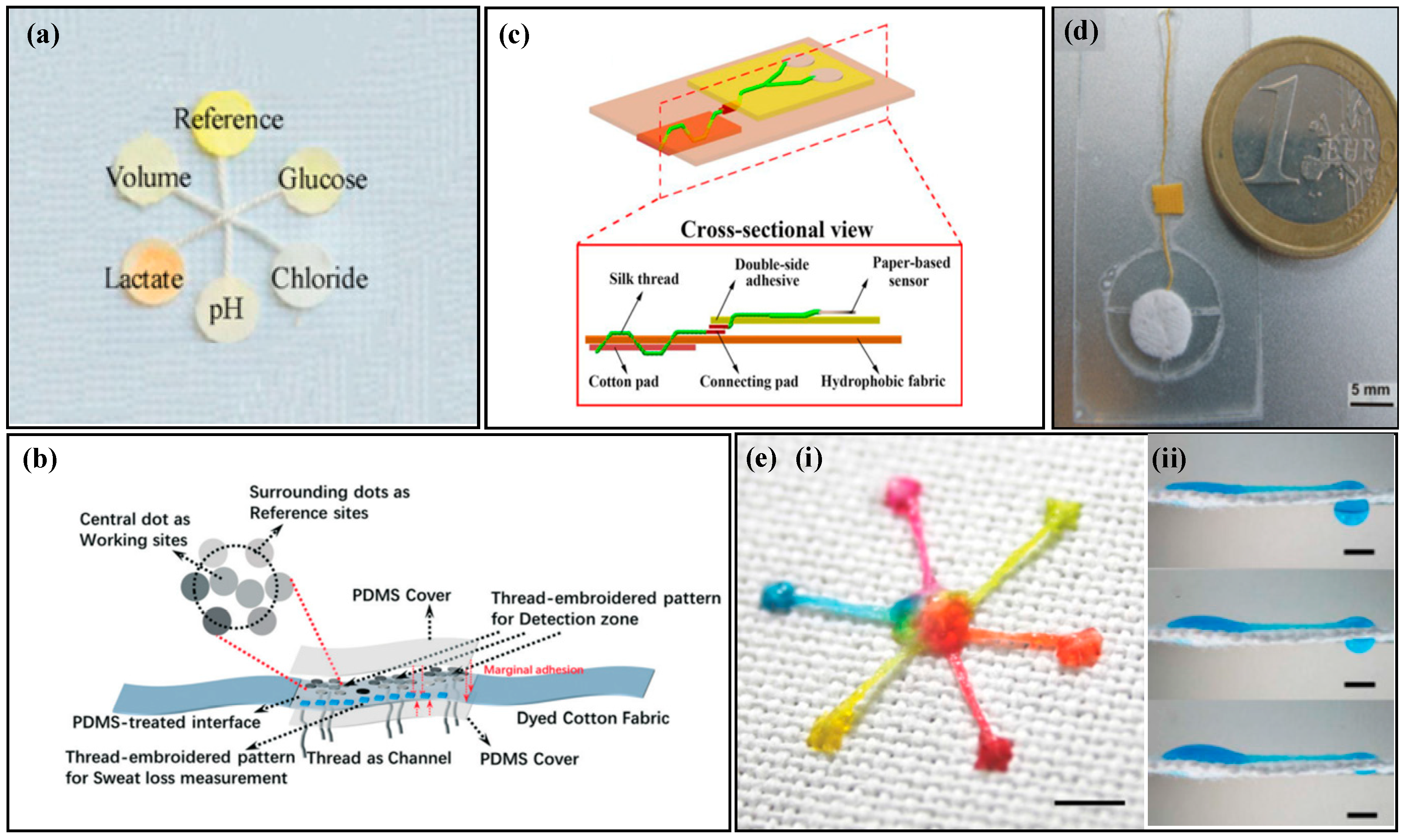 Biosensors 14 00017 g003