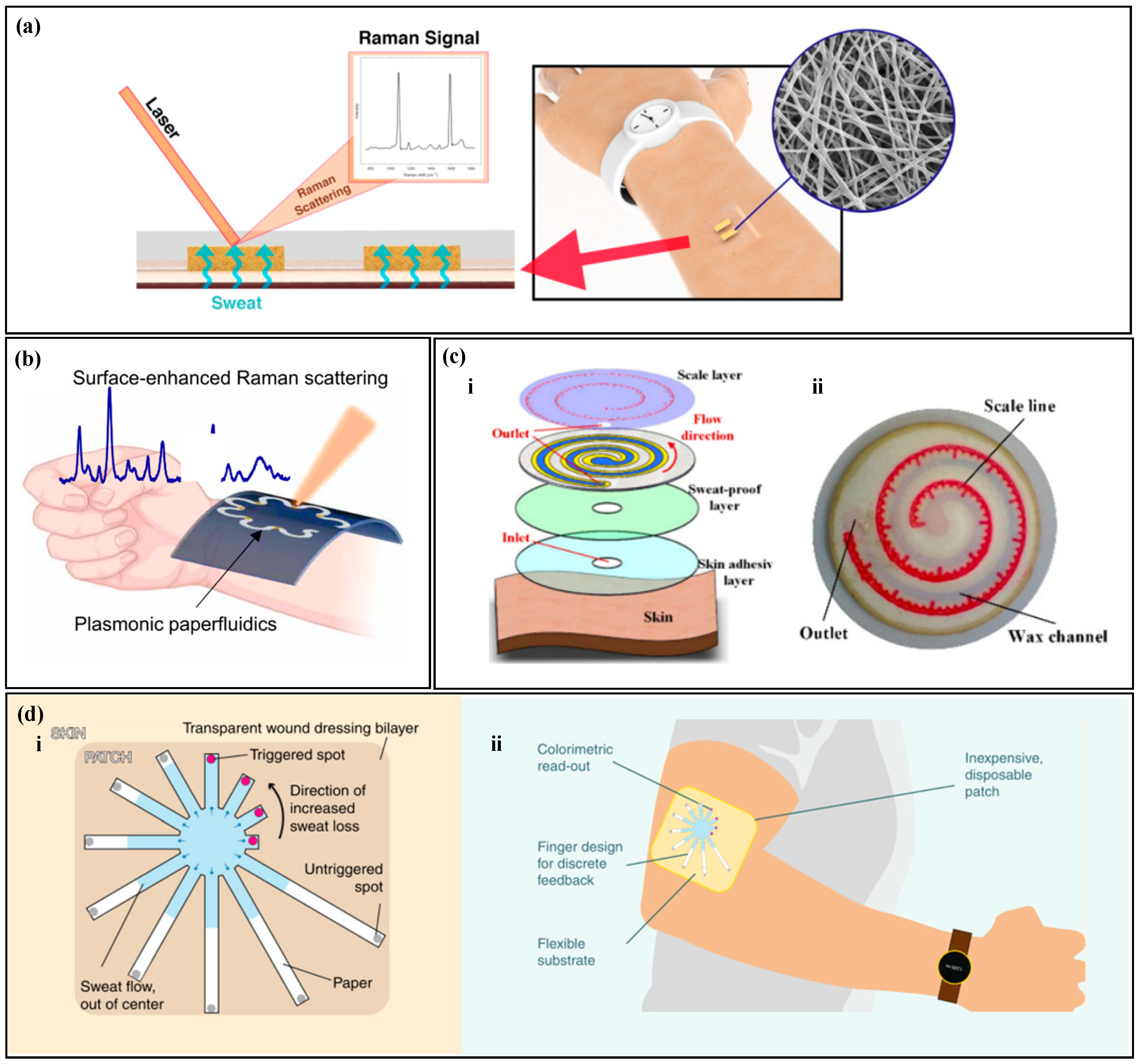Biosensors 14 00017 g007