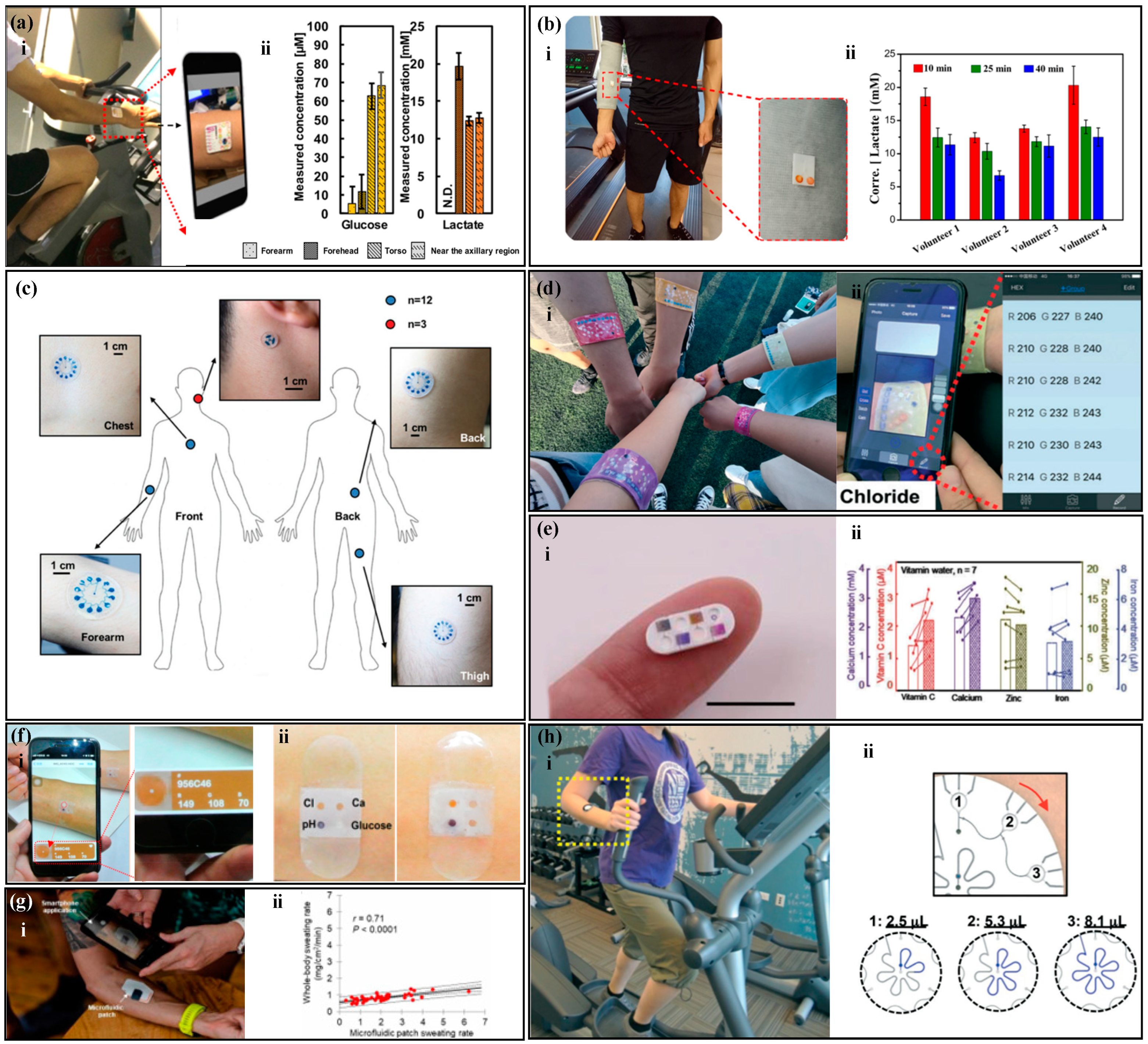 Biosensors 14 00017 g011
