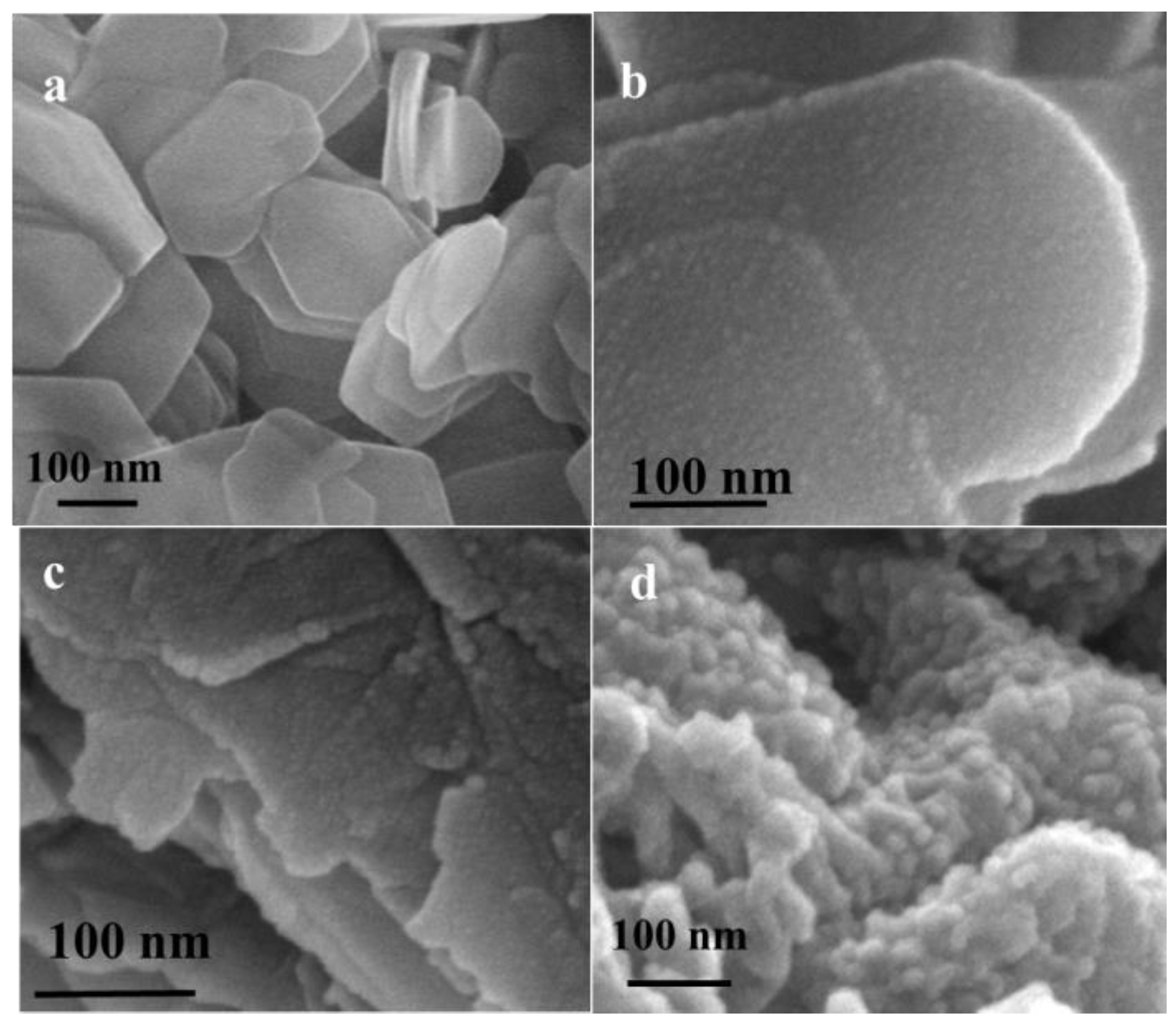 Biosensors 14 00018 g001